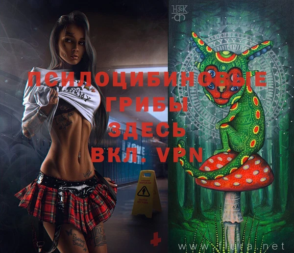 твердый Михайловка