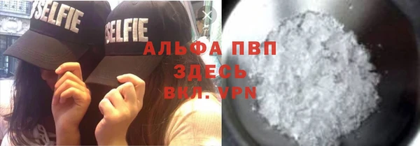 гашик Михайловск