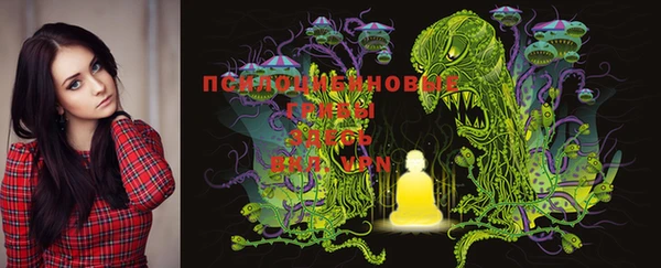 PSILOCYBIN Михайлов