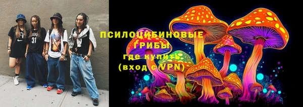 твердый Михайловка