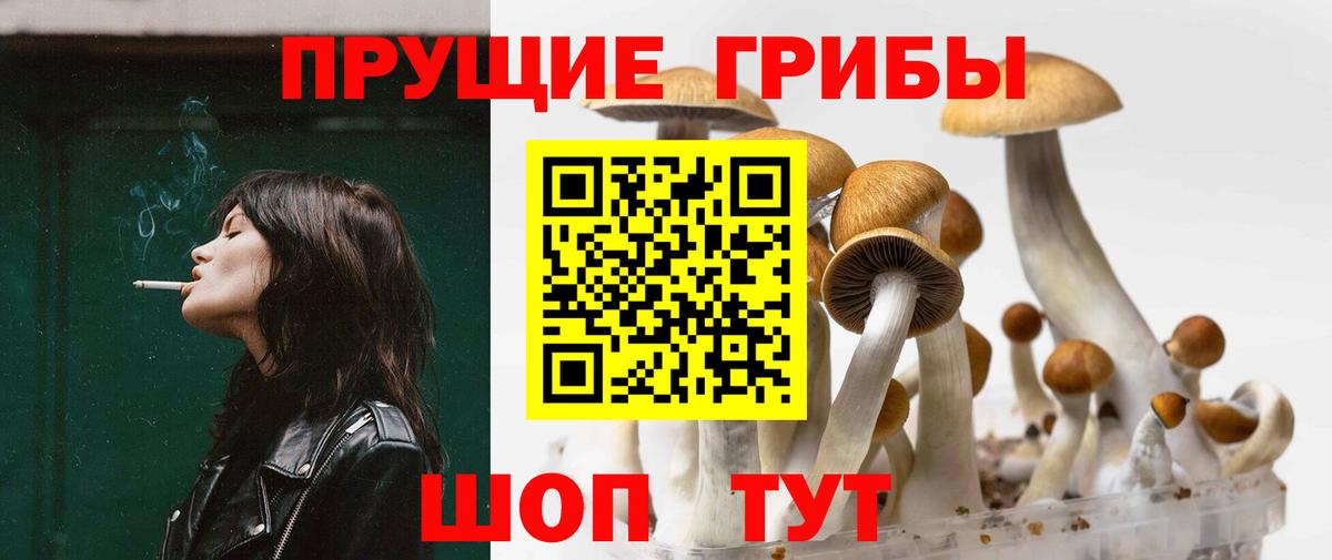 Воткинск  Галлюциногенные грибы Psilocybine cubensis  Вход с VPN  Галлюциногенные грибы Psilocybe 